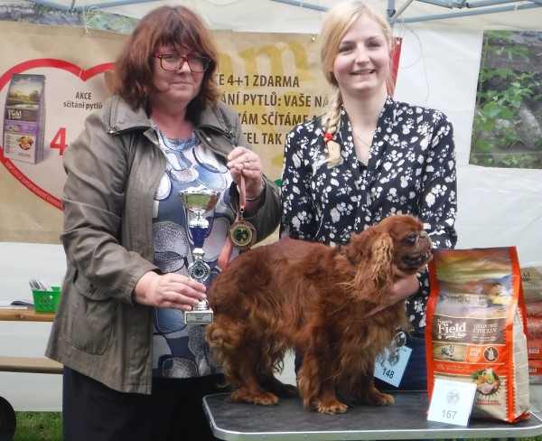 KV 2020-I, 11.7.2020, Městec Králové